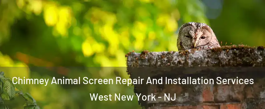  Chimney Animal Screen Repair And Installation Services West New York - NJ